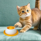 Slow Feeder Cat and Dog Lick Mat