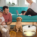 Indoor Bed Bug Trap
