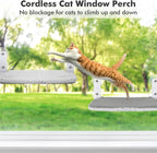 Cat Hammock Window