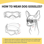 Dog Goggles