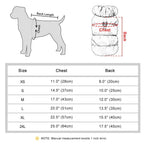 Warm Winter Jacket For Dogs - Small And Medium Dogs