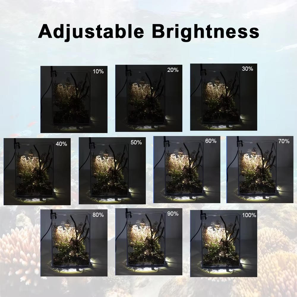 LED Light for Fish Tank