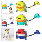 Interactive Self-Playing Pet Toy