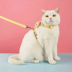 Cat Collar And Harness